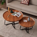 OnlyFurn-Phora Two-Piece Coffee Table