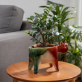 Cat-shaped plant pot with a green plant on a wooden table in a living room setting.